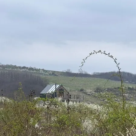 Campy Eco House • Eger 3* Egerszolat