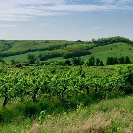 Campy Eco House • Eger 3*